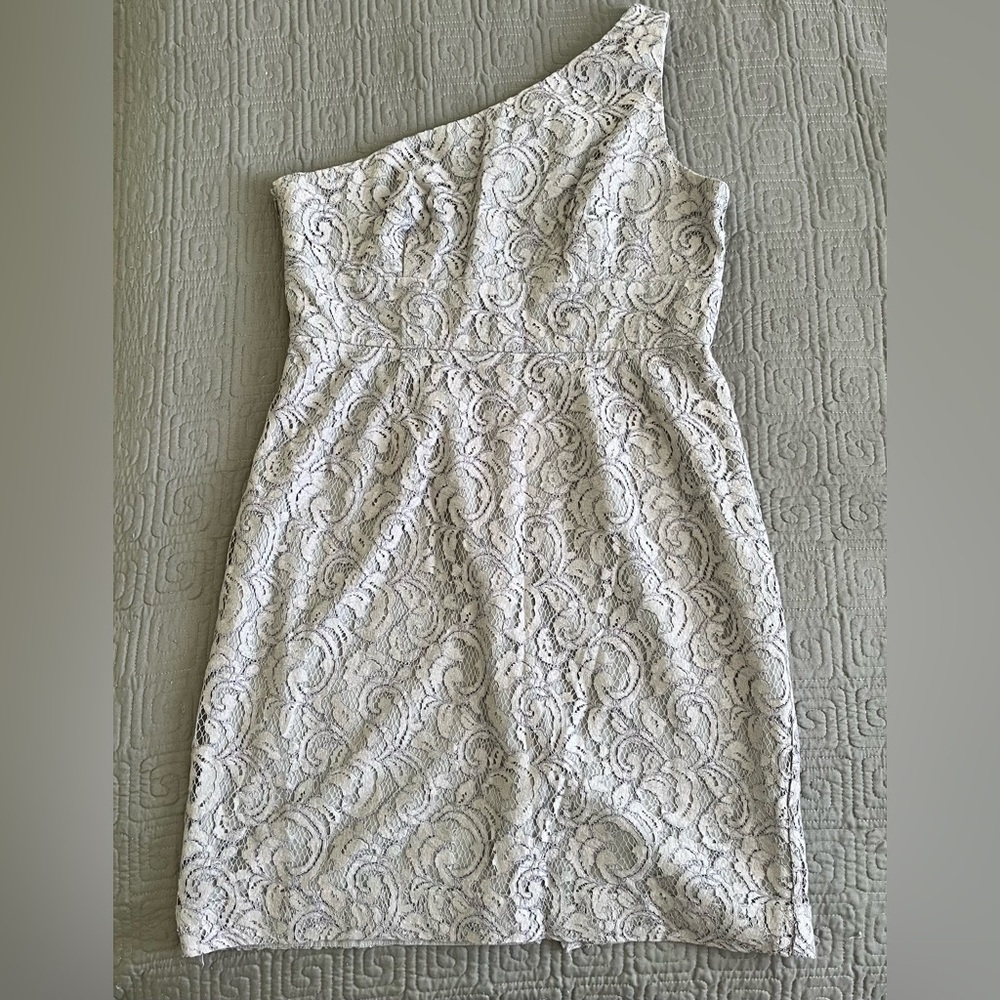J. Crew One-Shoulder Alexa Dress in Leavers Lace - Plus Size